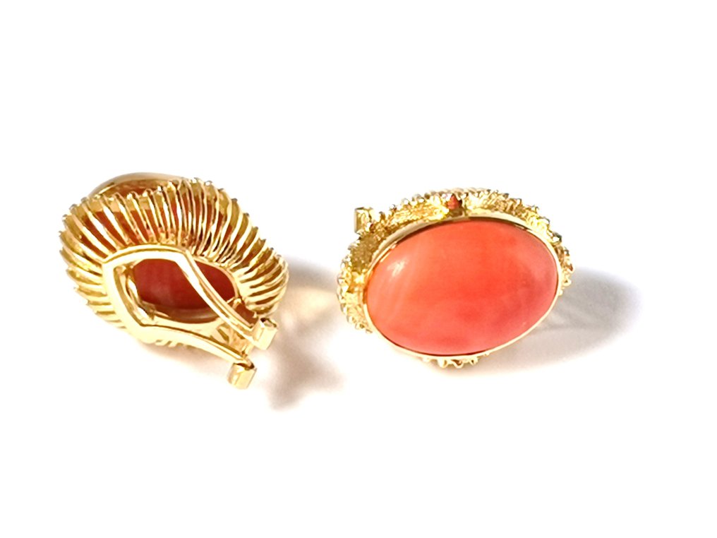 Earrings - 18 kt. Yellow gold Blood Coral #2.1