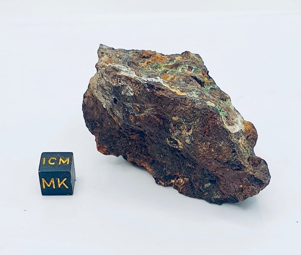 Sericho Meteorit Pallasit - Höhe: 70 mm - Breite: 40 mm - 150 g - (1) #2.3