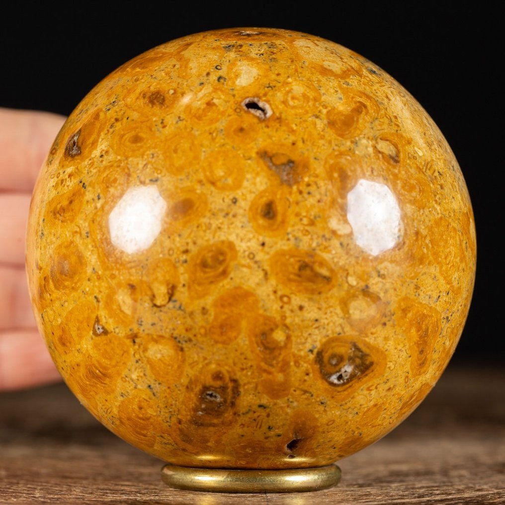 An Exclusive Jurassic Coral Large Fossil Coral Sphere - Height: 98 mm - Width: 98 mm- 1226 g #1.2