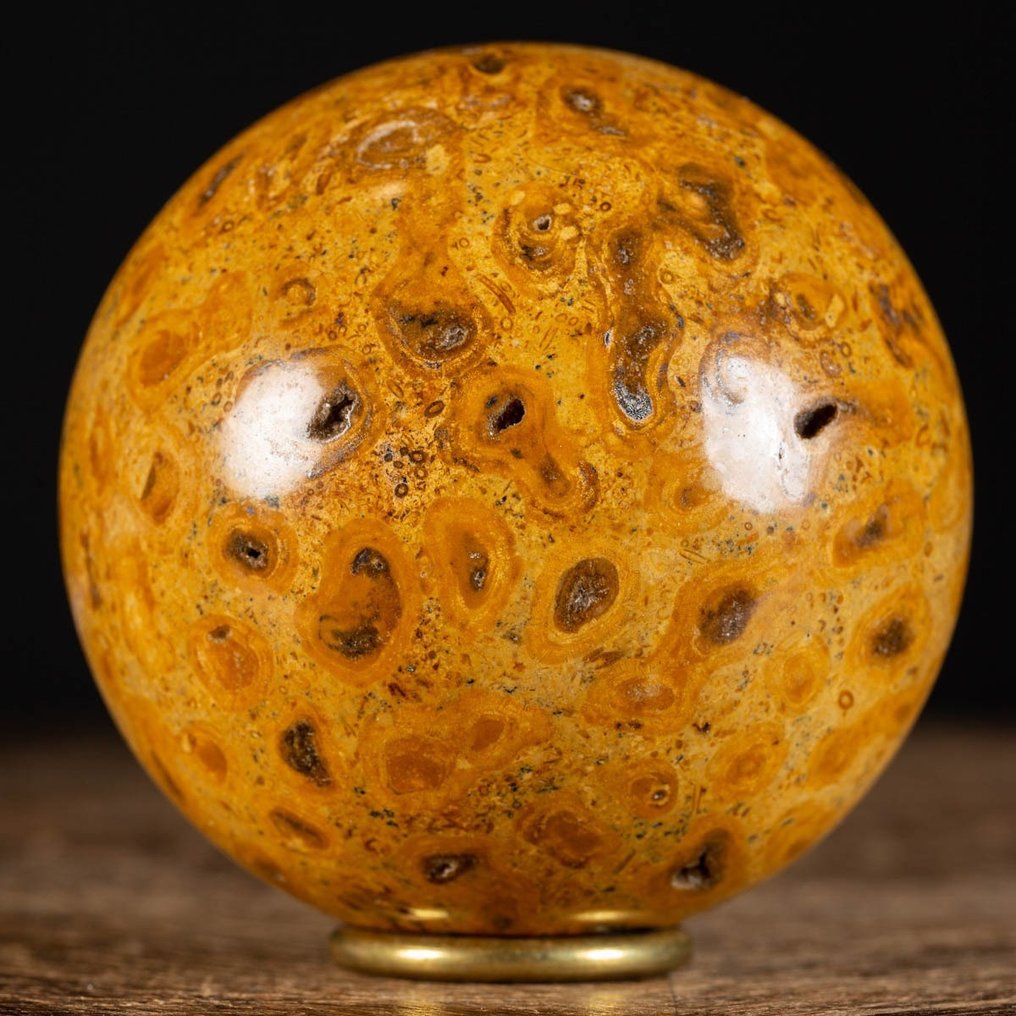 An Exclusive Jurassic Coral Large Fossil Coral Sphere - Height: 98 mm - Width: 98 mm- 1226 g #1.1