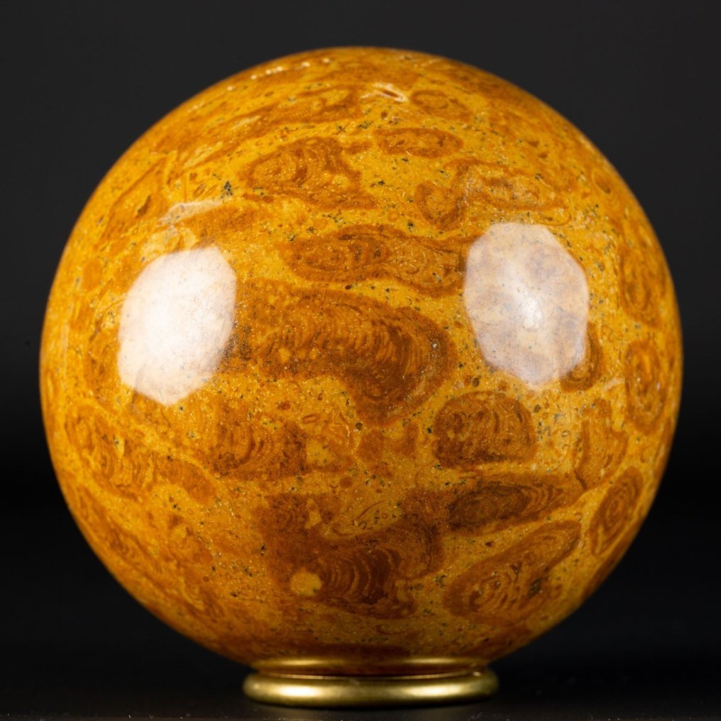 An Exclusive Jurassic Coral Large Fossil Coral Sphere - Height: 92 mm - Width: 92 mm- 1015 g #2.1