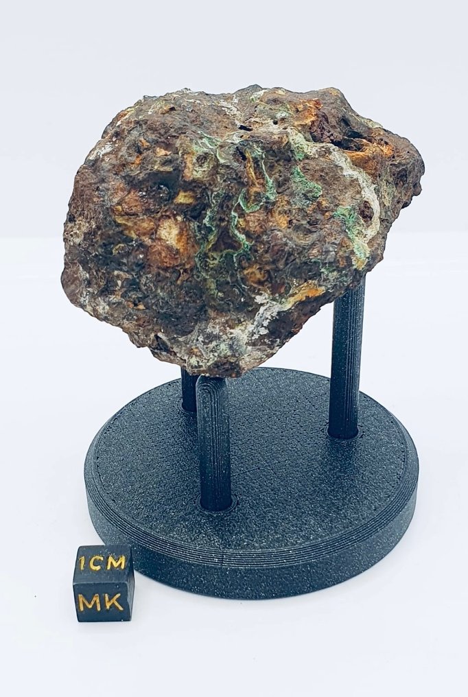 Sericho meteoriet Pallasiet - Hoogte: 70 mm - Breedte: 40 mm - 150 g - (1) #2.1