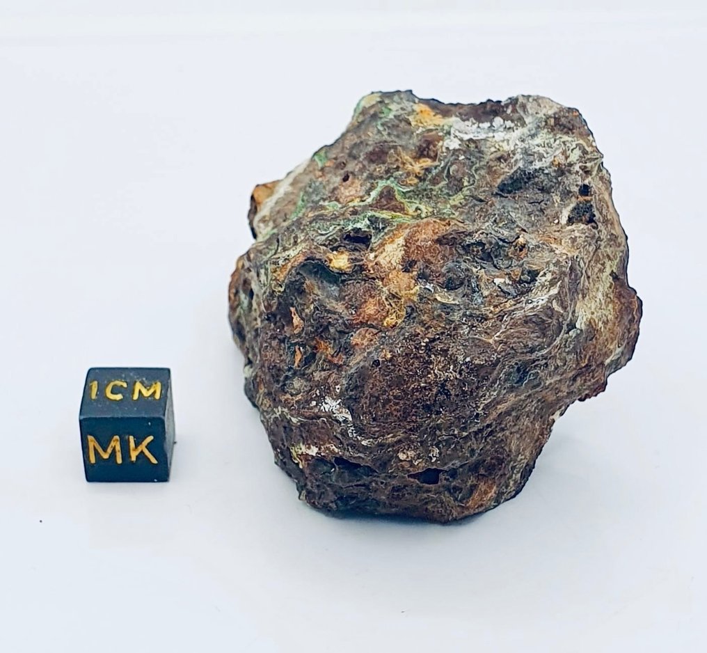 Μετεωρίτης Sericho Pallasitic - Ύψος: 70 mm - Πλάτος: 40 mm - 150 g - (1) #2.2