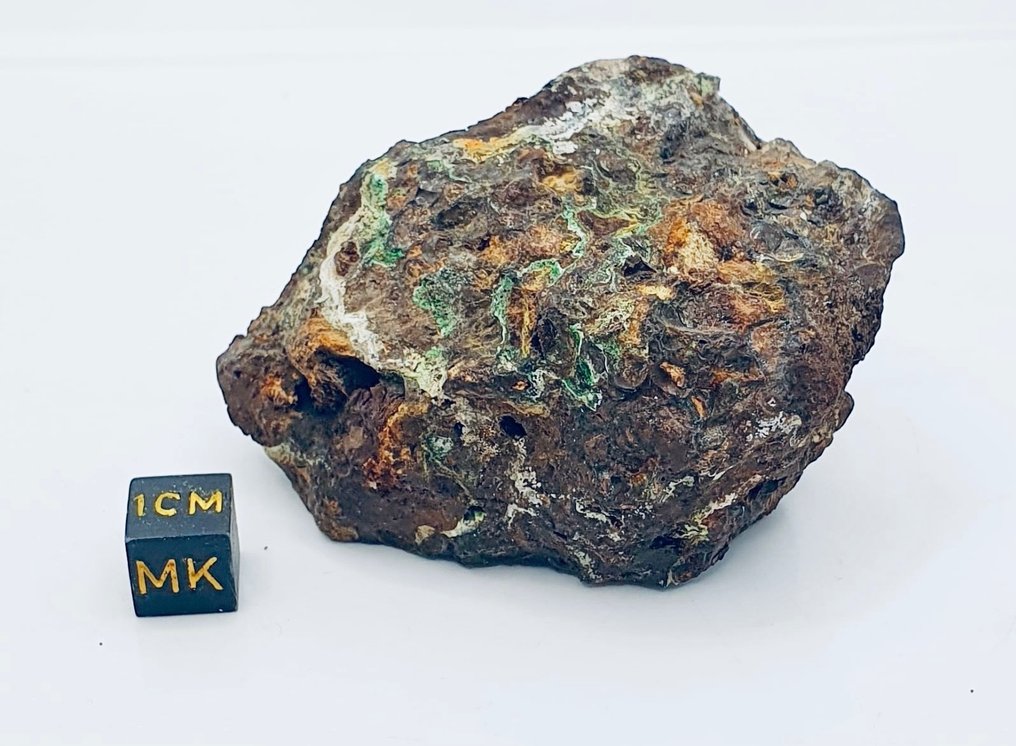 Sericho meteoriet Pallasiet - Hoogte: 70 mm - Breedte: 40 mm - 150 g - (1) #1.1