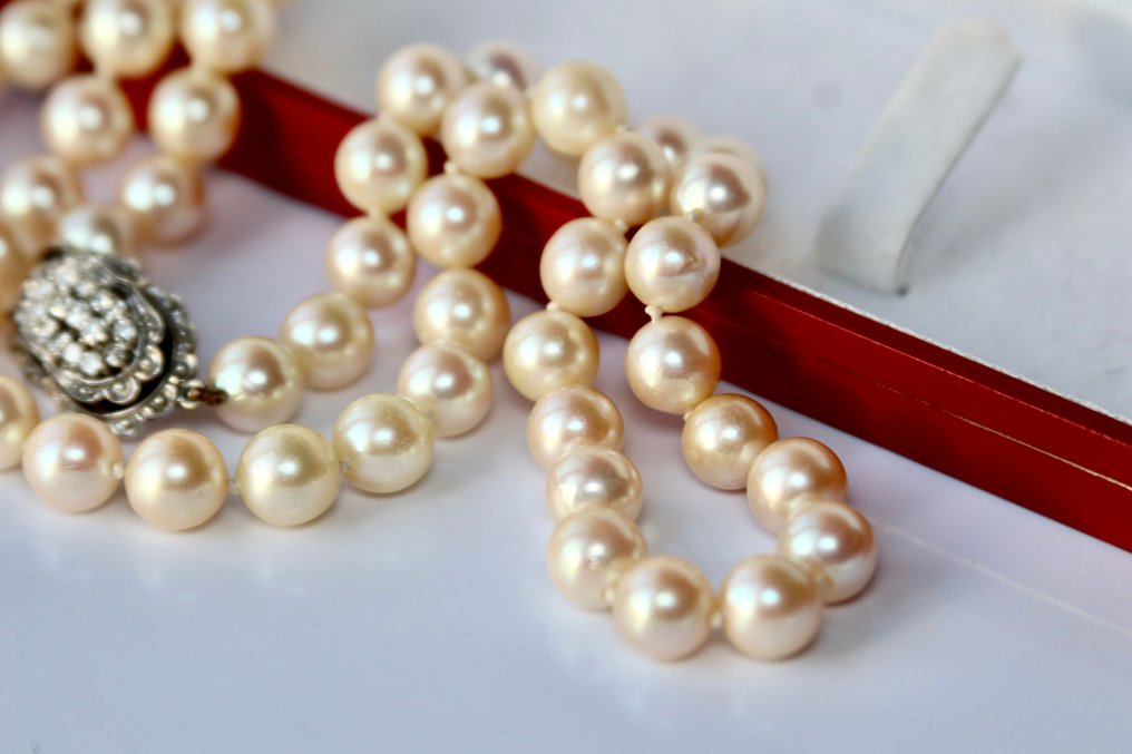 Collier - 18 carats Or blanc, Perles Akoya -  0.60ct. tw. Diamant - Diamant #3.2