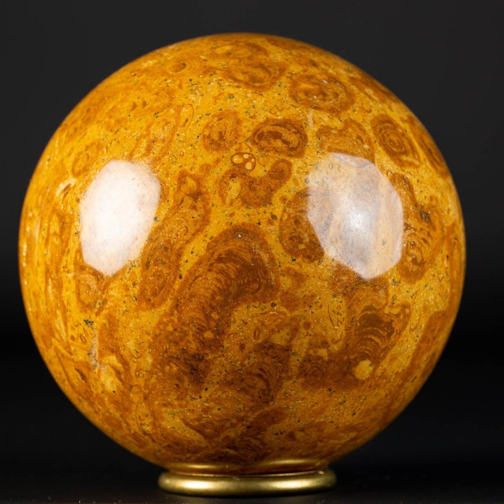 An Exclusive Jurassic Coral Large Fossil Coral Sphere - Height: 92 mm - Width: 92 mm- 1015 g #1.2
