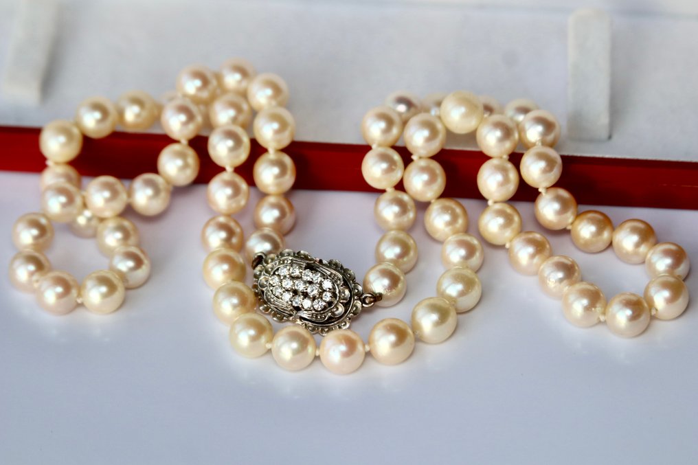 Collier - 18 carats Or blanc, Perles Akoya -  0.60ct. tw. Diamant - Diamant #2.1