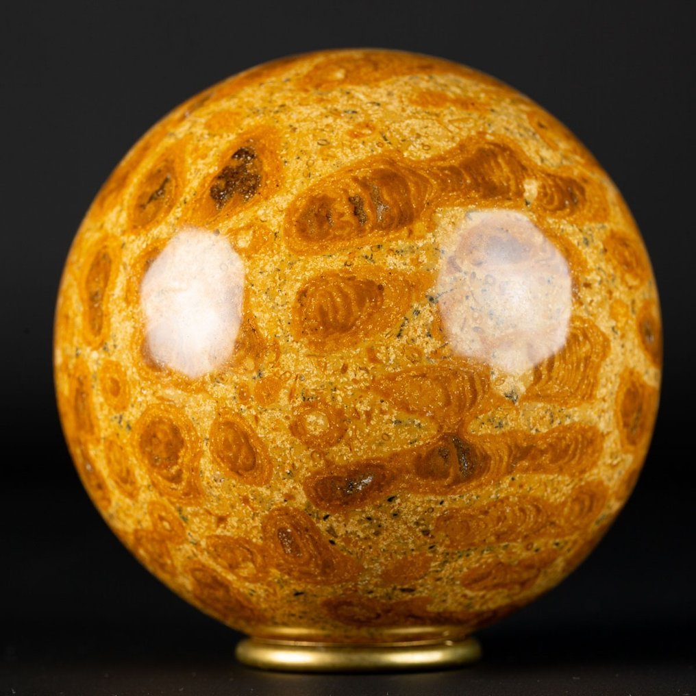 An Exclusive Jurassic Coral Large Fossil Coral Sphere - Height: 90 mm - Width: 90 mm- 976 g #2.1