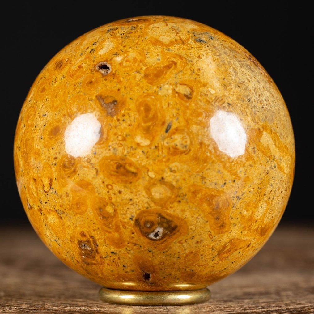 An Exclusive Jurassic Coral Large Fossil Coral Sphere - Altezza: 98 mm - Larghezza: 98 mm- 1226 g #2.1