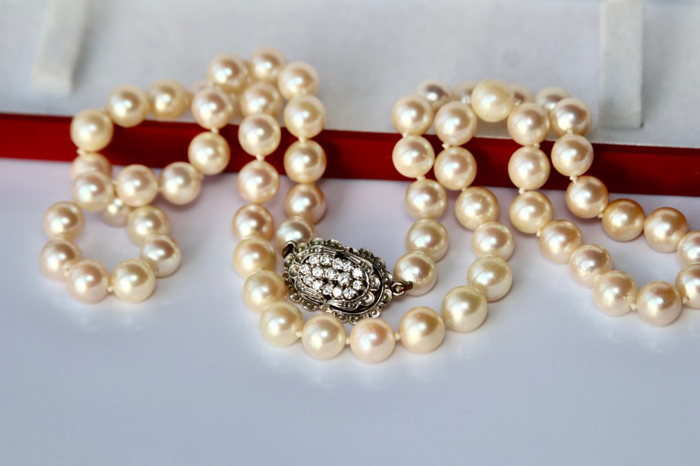 Collier - 18 carats Or blanc, Perles Akoya -  0.60ct. tw. Diamant - Diamant #2.2