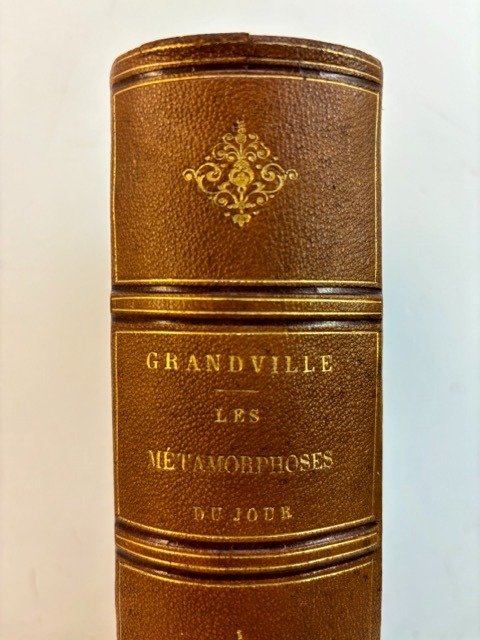 Grandville; Jules Janin e.a. - Les métamorphoses du jour ; accompagnées d'un texte ..  précédées d'une notice sur Grandville - 1869 #1.2