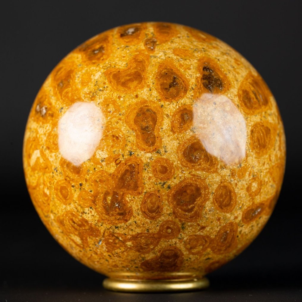 Un coral jurásico exclusivo Gran esfera de coral fósil - Altura: 90 mm - Ancho: 90 mm- 976 g #1.2