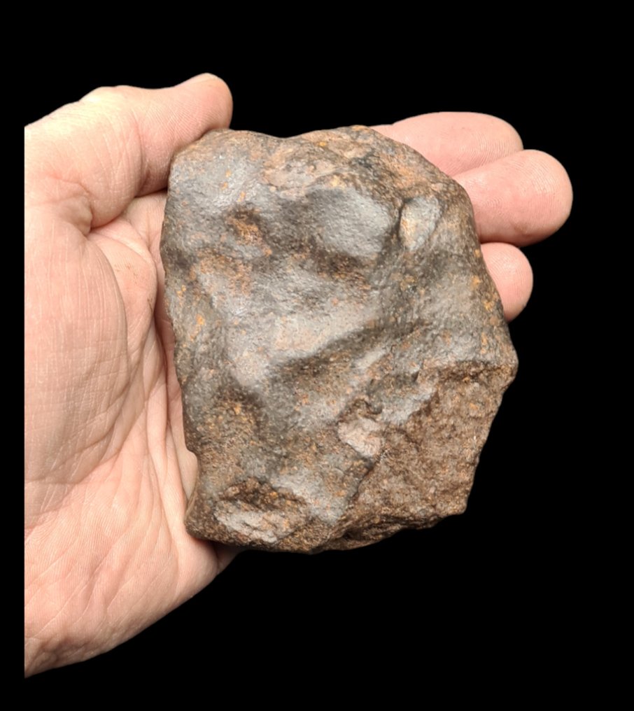 Meteorit condrit neclasificat din Algeria - Înălțime: 10 cm - Lățime: 8 cm - 454.5 g - (1) #1.1