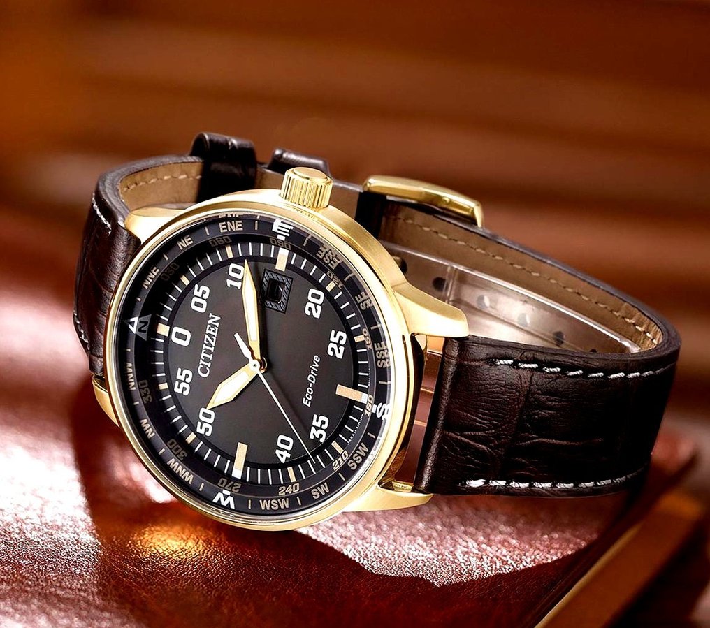 Citizen Aviator Collection Gold 024 Senza Prezzo di Riserva Uomo 2024 Catawiki