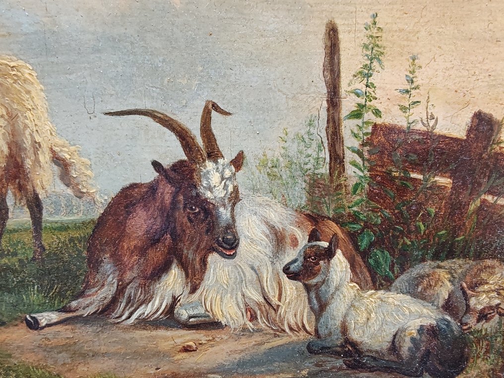 Belgian School (XIX) - Pecora e caprone nella natura #3.1