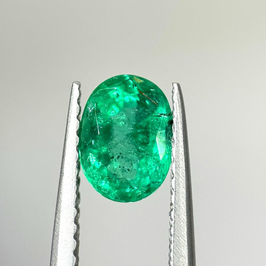 Fine Vivid Green Emerald - 0.87 ct #1.2