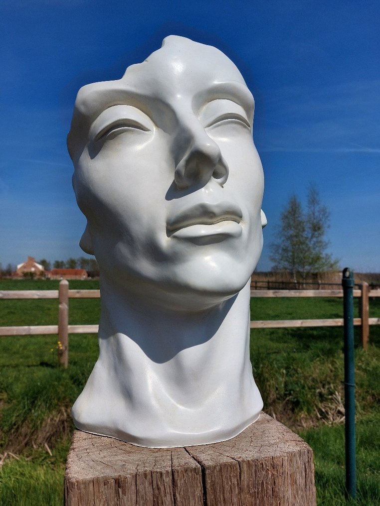 Άγαλμα, garden statue head in white color patina - 50 cm - polyresin #3.2