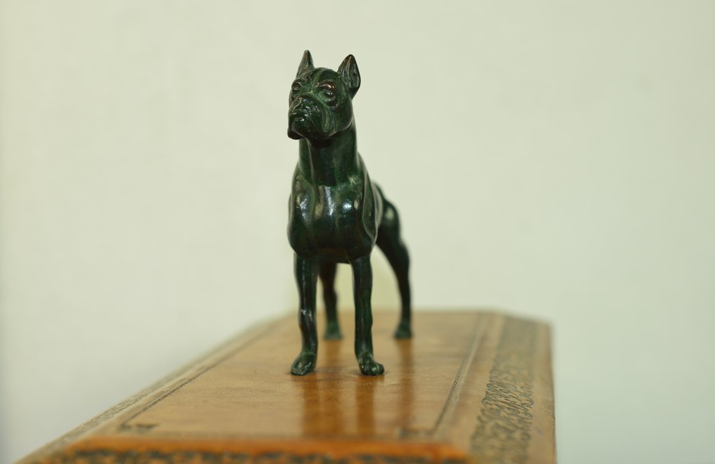 Cercueil - Coffret en cuir avec chien boxeur en bronze - Bois, Bronze, Cuir #3.1