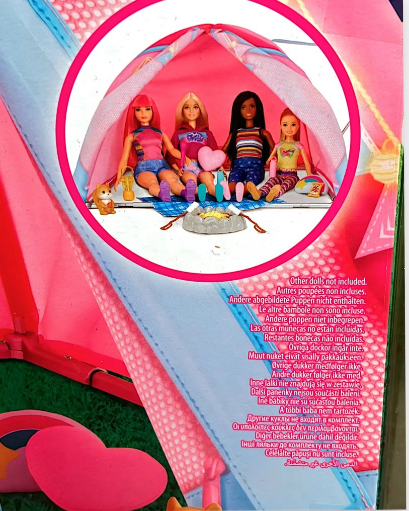 Mattel  - Barbie-Puppe Barbie and Friends Let’s go Camping set met 2 poppen - 2020 und ff. #2.1