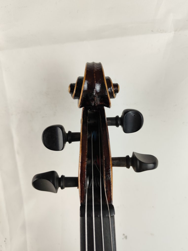 Labelled/Stamped Jacobus Stainer - 4/4 -  - Violino #3.1