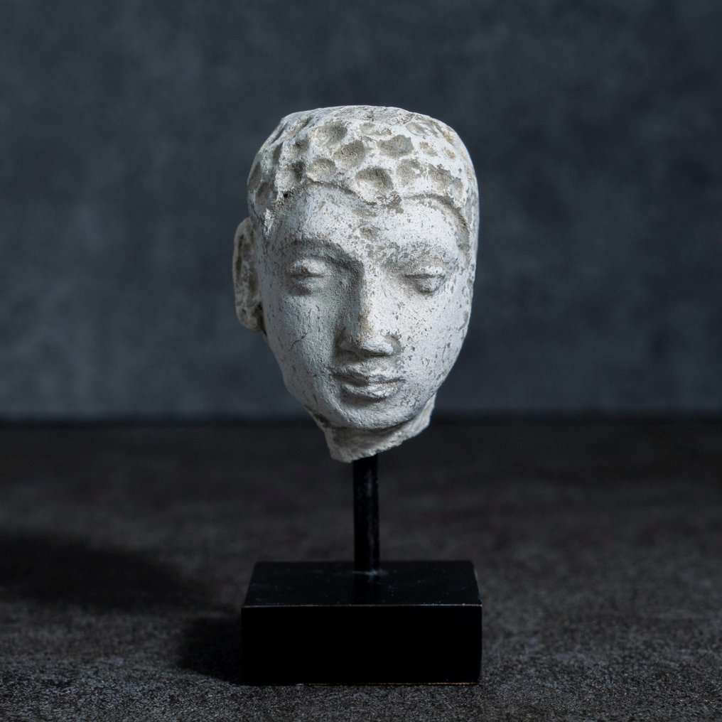 Gandhara Tynk szlachetny Głowa Buddy - III-V wiek n.e. #2.1