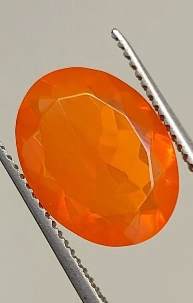 No Reserve Price - 1 pcs  Fire Opal  - 4.61 ct - Antwerp Laboratory for Gemstone Testing (ALGT) #2.1