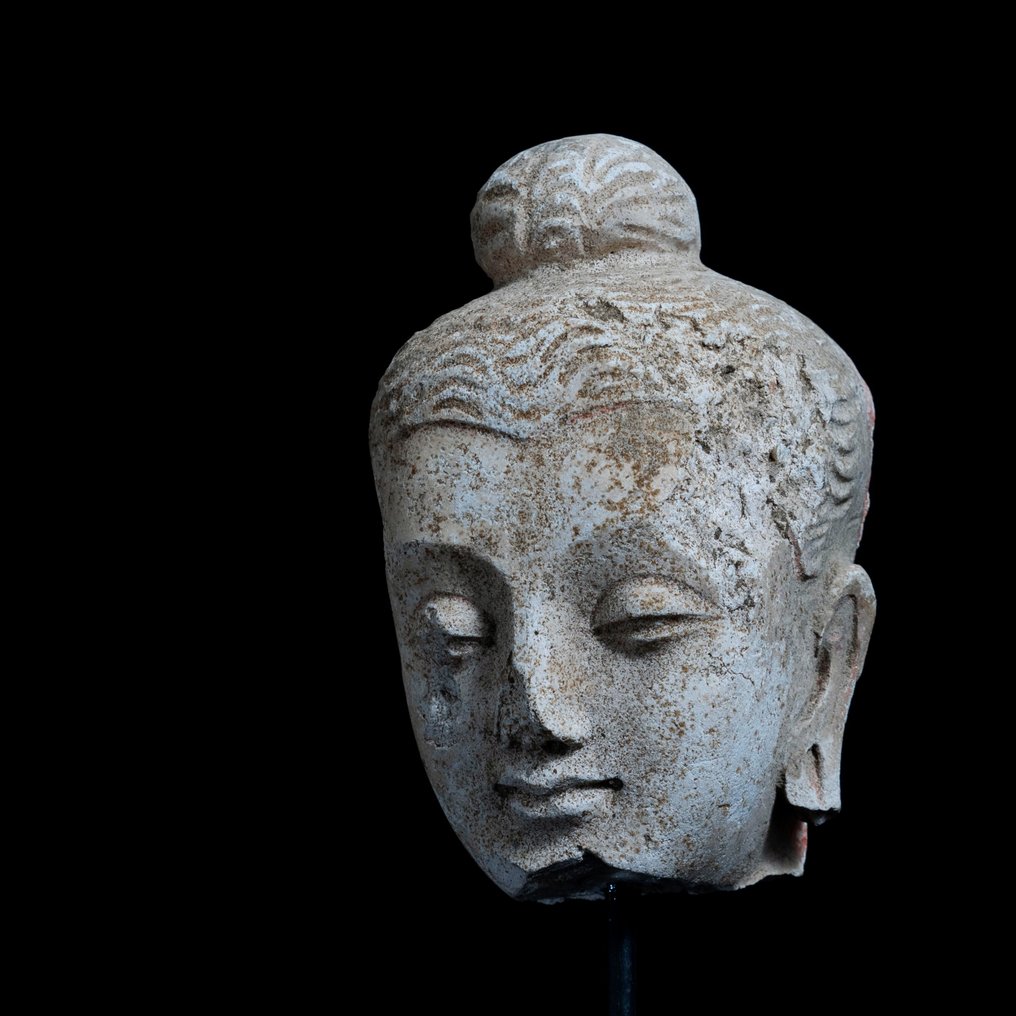 Gandhara Tynk szlachetny Głowa Buddy - III-V wiek n.e. #1.2