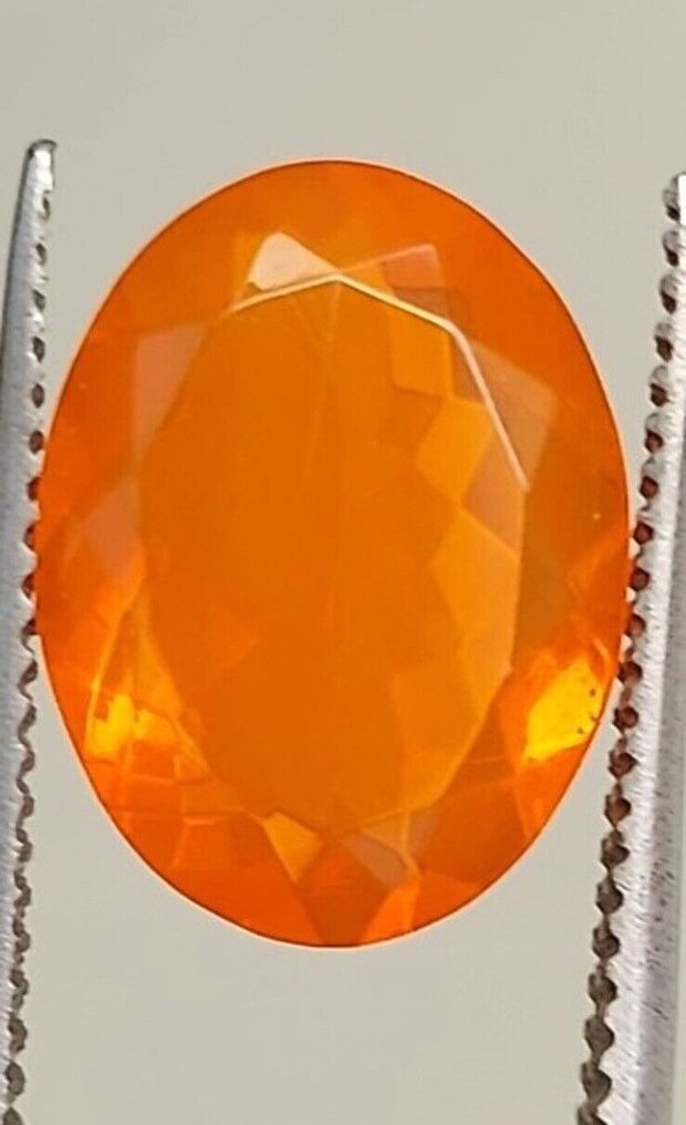 No Reserve Price - 1 pcs  Fire Opal  - 4.61 ct - Antwerp Laboratory for Gemstone Testing (ALGT) #1.2