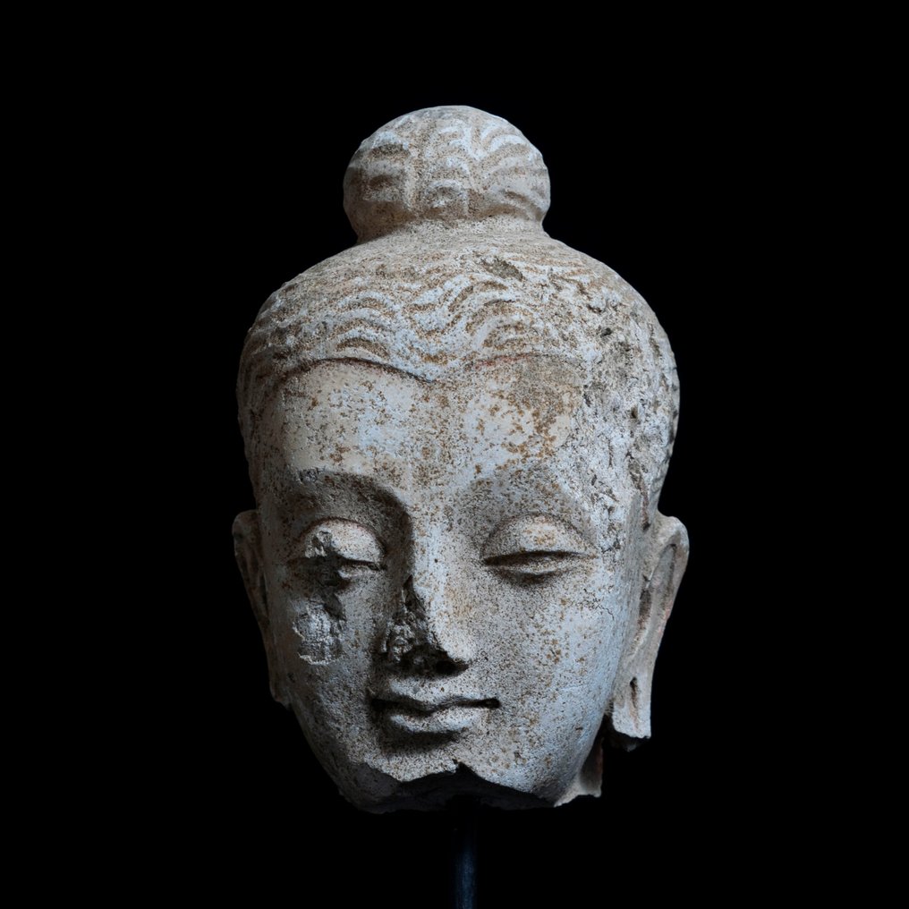 Gandhara Tynk szlachetny Głowa Buddy - III-V wiek n.e. #1.1