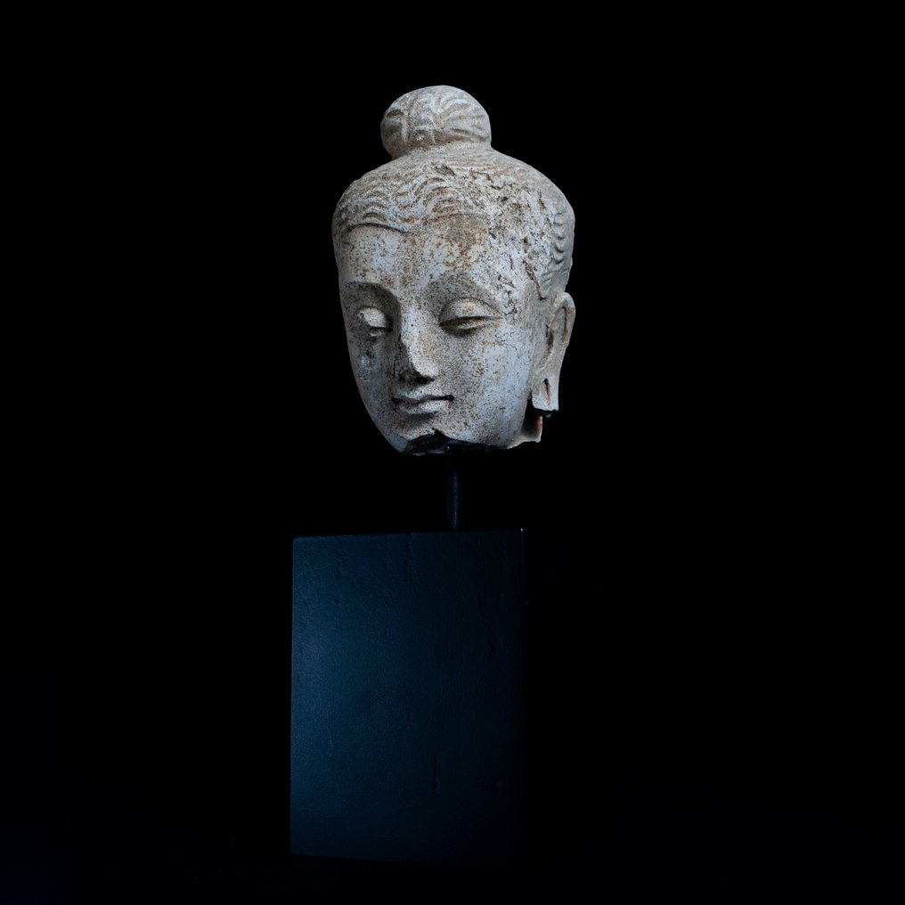 Γανδάρα Στόκος Κεφάλι του Βούδα - 3ος-5ος αιώνας μ.Χ. #2.1