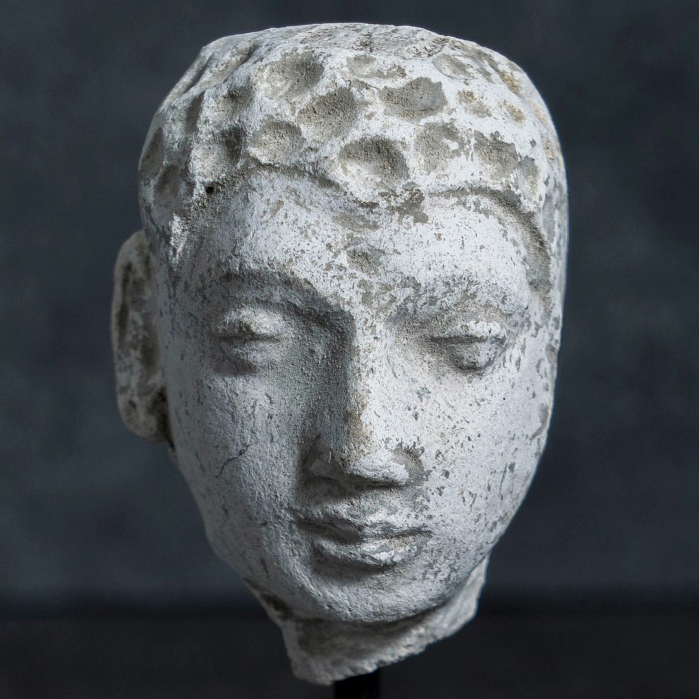Gandhara Gips Hoofd van Boeddha - 3e-5e eeuw na Christus #1.2