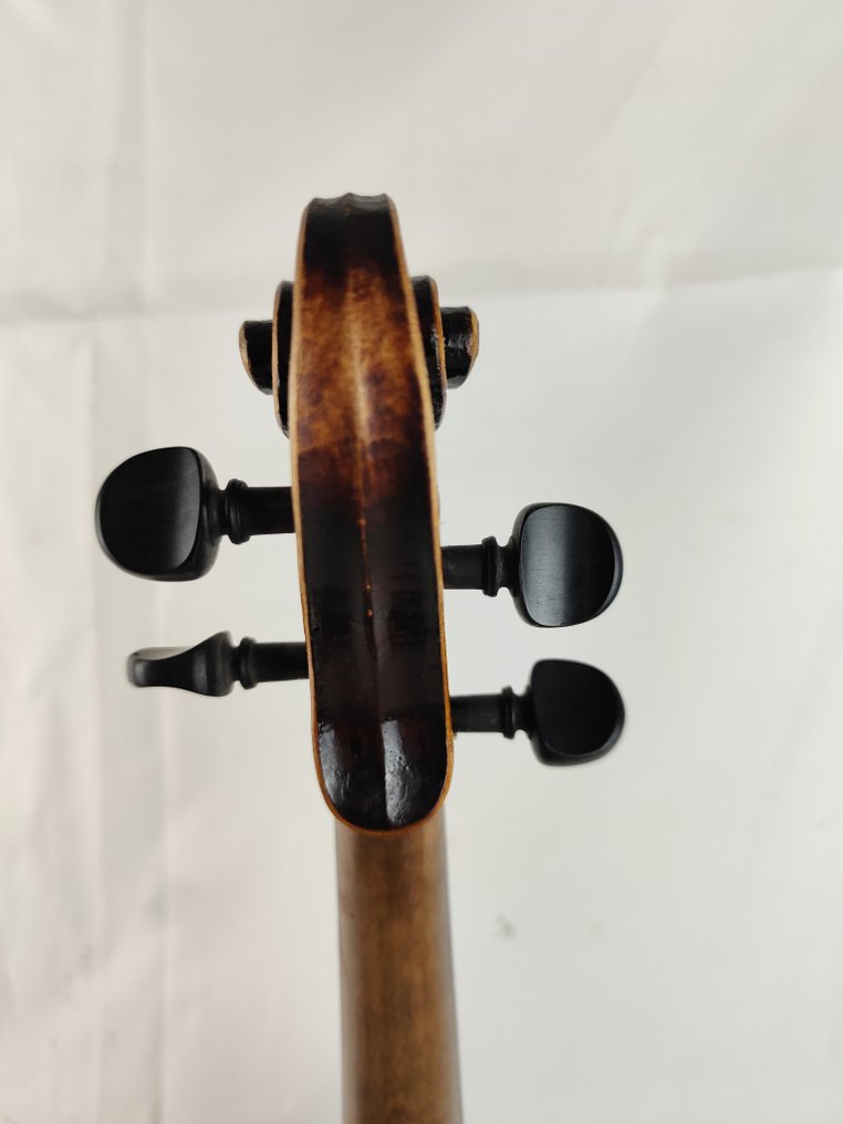 Labelled/Stamped Jacobus Stainer - 4/4 -  - Violin #3.2