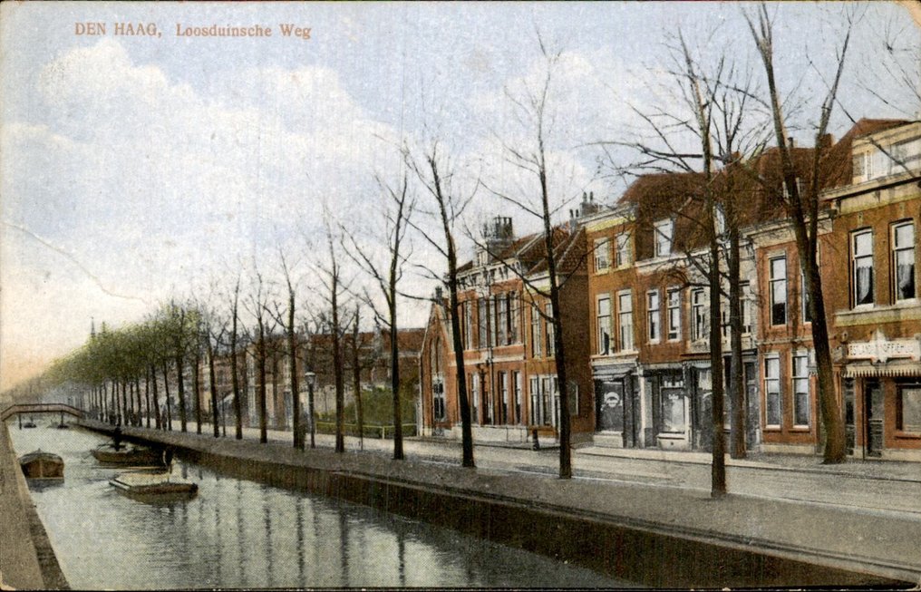 Niederlande - Den Haag - Postkarte (93) - 1900-1960 #3.2