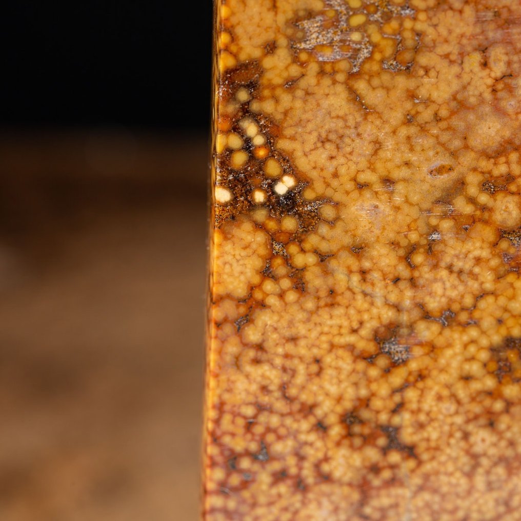 Extremely Rare - Orbicularis Jasper - Antsirabe Region - Obelisk - Height: 348 mm - Width: 65 mm- 2332 g #3.2