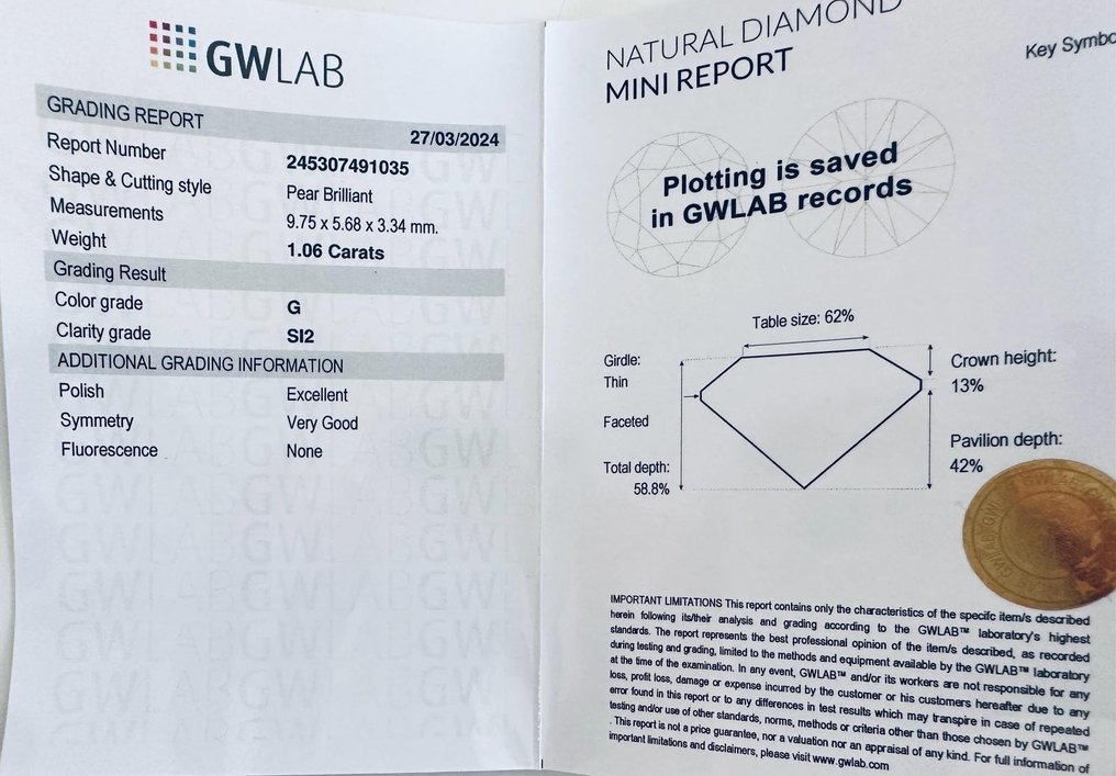 1 pcs 鑽石  (天然)  - 1.06 ct - 梨形 - G - SI2 - Gemewizard Gemological Laboratory (GWLab) #3.1