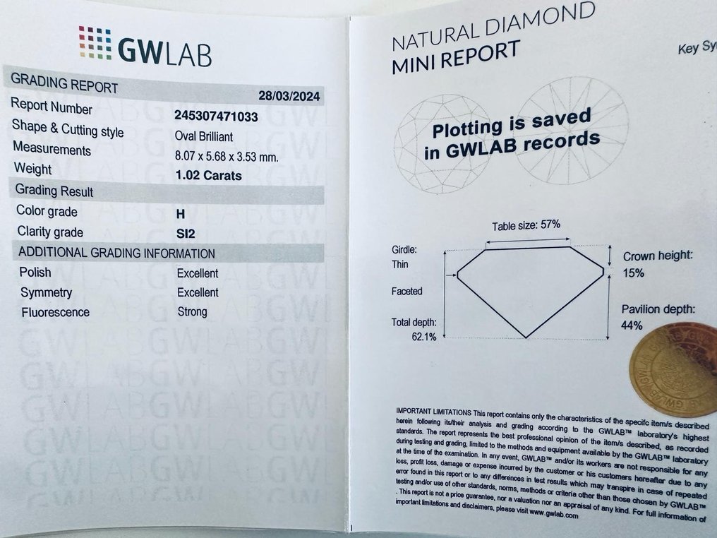 1 pcs Diamante  (Natural)  - 1.02 ct - Oval - H - SI2 - Gemewizard Gemological Laboratory (GWLab) #3.1