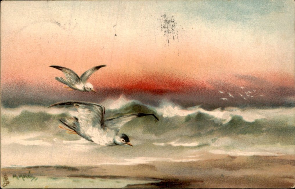 鸟 - 鸟 - 鸟 - 明信片 (109) - 1900-1950 #1.1