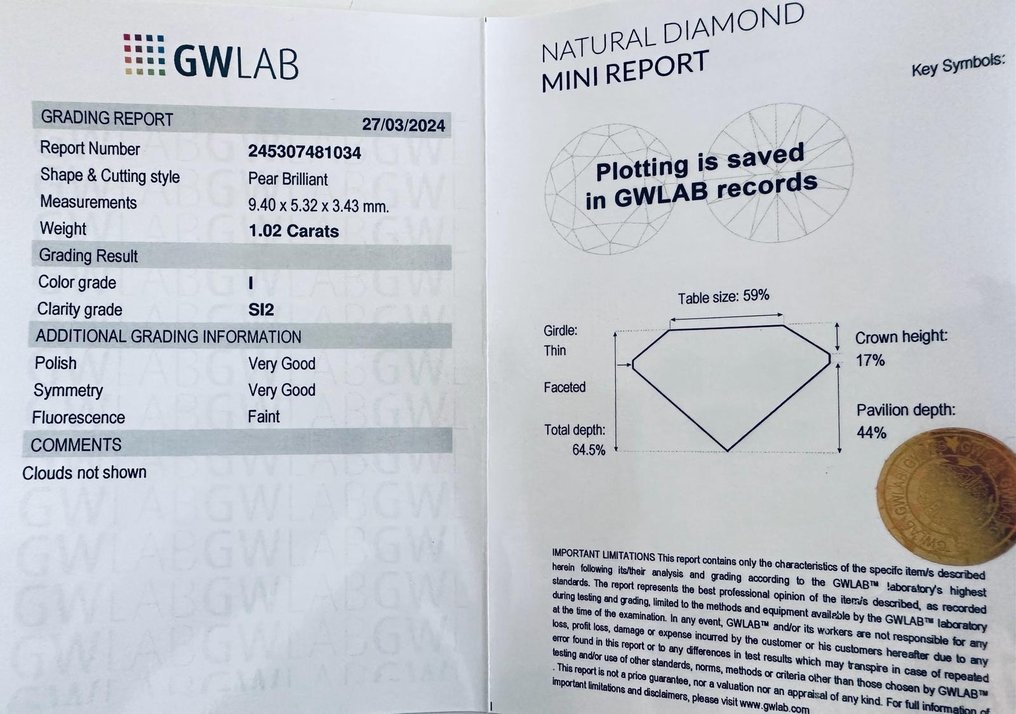 1 pcs Diamant  (Natuurlijk)  - 1.02 ct - Peer - I - SI2 - Antwerp International Gemological Laboratories (AIG Israel) #3.1