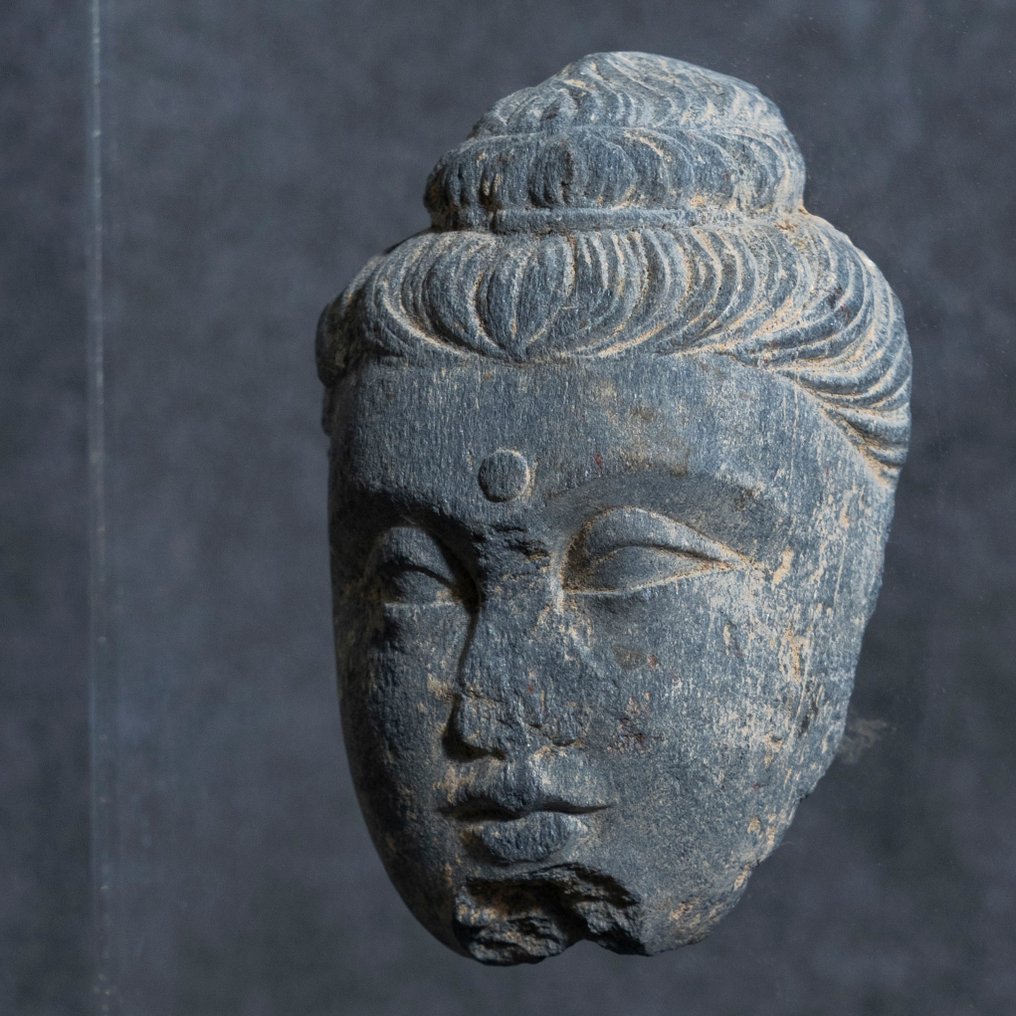 Gandhara Schist Head of Buddha - 3rd-5th Century AD #1.1
