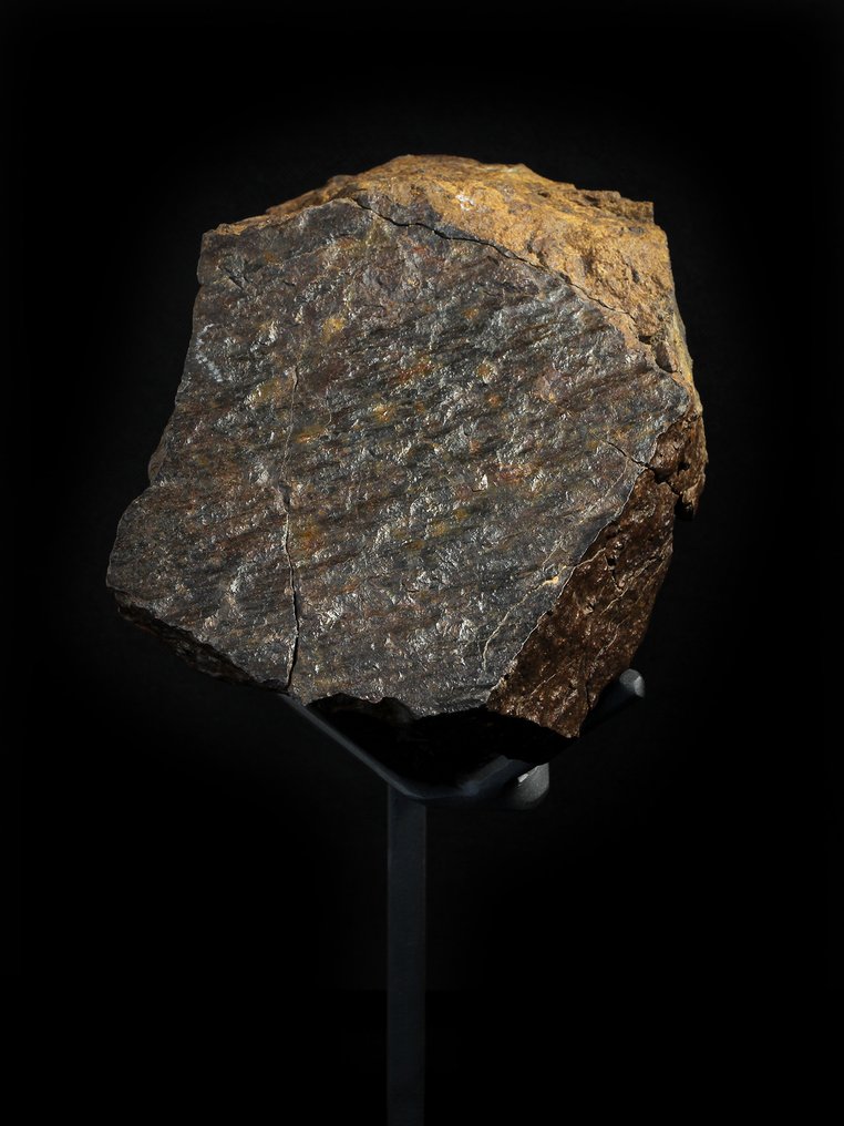 Αταξινόμητος μετεωρίτης χονδρίτης με βάση, τεράστιο κομμάτι πάνω από 10 κιλά !! - Ύψος: 270 mm - Πλάτος: 170 mm - 10.08 kg #3.1