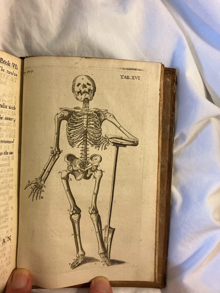 Thomas Gibson - The Anatomy of Humane Bodies Epitomized - 1684 #2.1