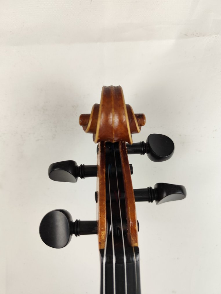 Labelled Alois Suter - 小提琴 #2.1