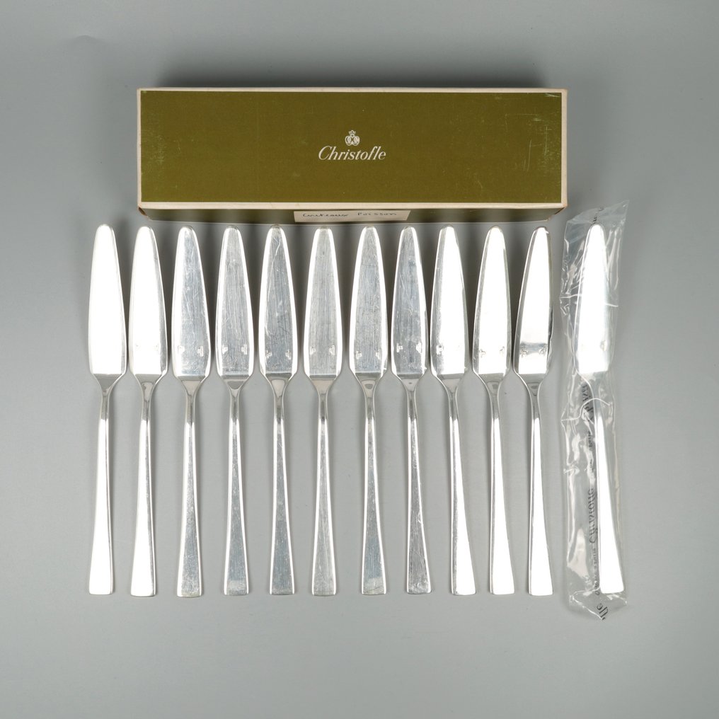 Christofle model: Concorde (J.P. Hamard) Vismessen - Cutlery set (12) - Silver-plated #1.1
