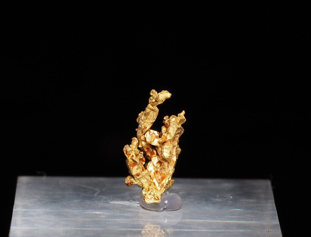 Arany Kristálymátrix - Magasság: 8 mm - Szélesség: 5 mm- 1 g #2.1