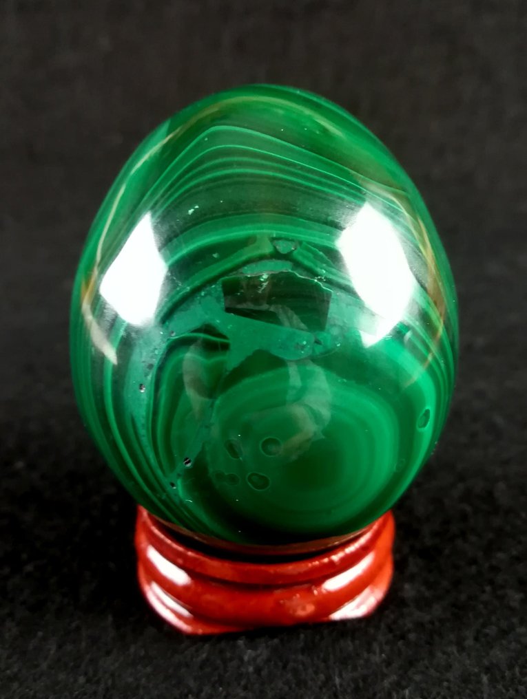 Top Quality A++ Malachite Egg - Height: 56 mm - Width: 46 mm- 240 g - (1) #2.1