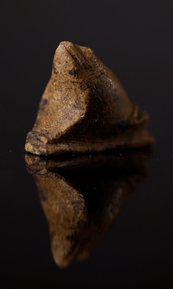 Αρχαία Αιγυπτιακή Faience Θεέ Μπες, φυλαχτά από βάτραχο Heqet και σκαραβαίο - 3.5 cm #2.2