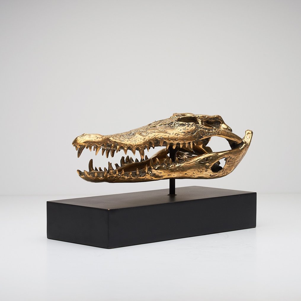 Sculpture, Saltwater Crocodile Skull fashioned in bronze, on custom stand - 18 cm - Bronze #1.0