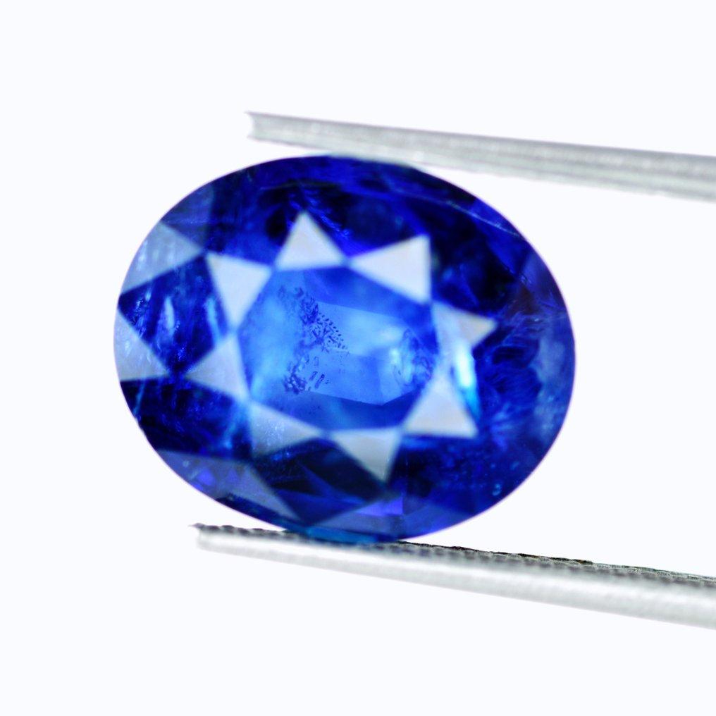 1 pcs  Blue Sapphire  - 6.51 ct - International Gemological Institute (IGI) - No heat no treat Sapphire #1.2