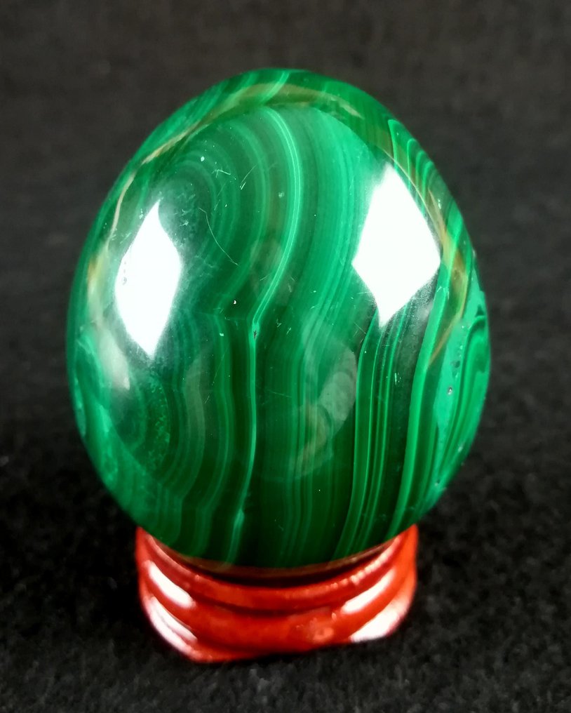 Top Quality A++ Malachite Egg - Height: 56 mm - Width: 46 mm- 240 g - (1) #1.2