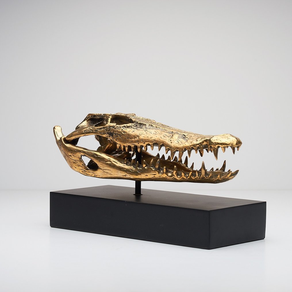 Szobor, Saltwater Crocodile Skull fashioned in bronze, on custom stand - Bronze - 21 cm - Bronz #2.1